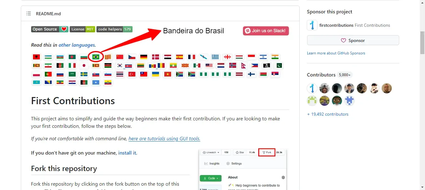 imagem repositório github